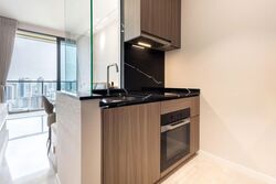 Irwell Hill Residences (D9), Apartment #599455731